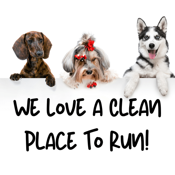 Reliable dog waste removal services specializing in pet waste cleanup, pooper scooper solutions, and a spotless yard experience.