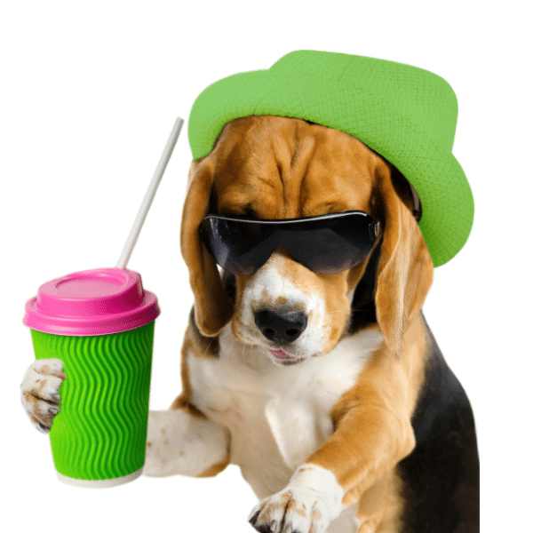 residential dog waste removal services in el paso texas. doodoo express has affordable pooper scooper services to keep your yard looking great!